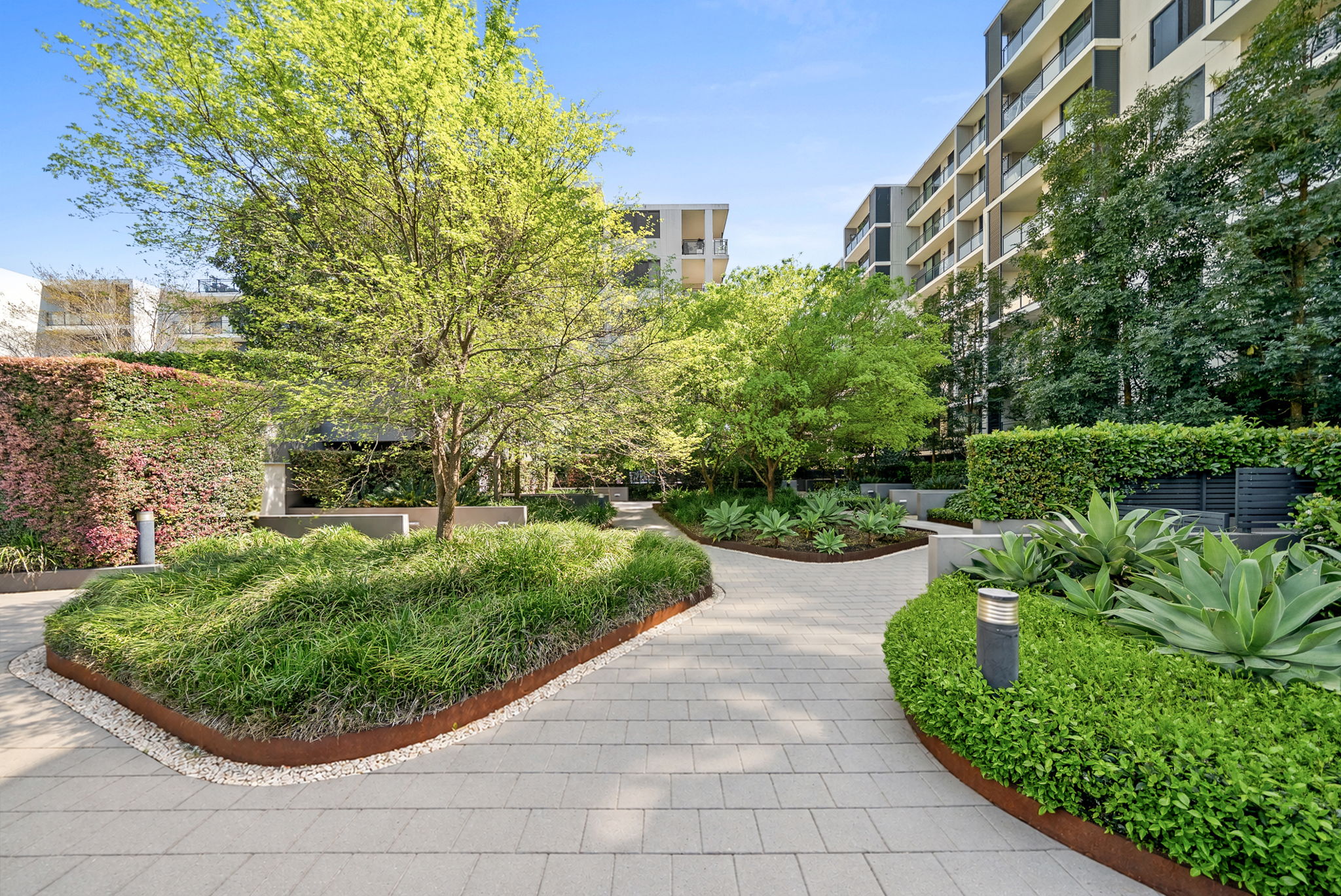 113/14 Baywater Dr, Wentworth Point For Sale by Chidiac Realty - image 15