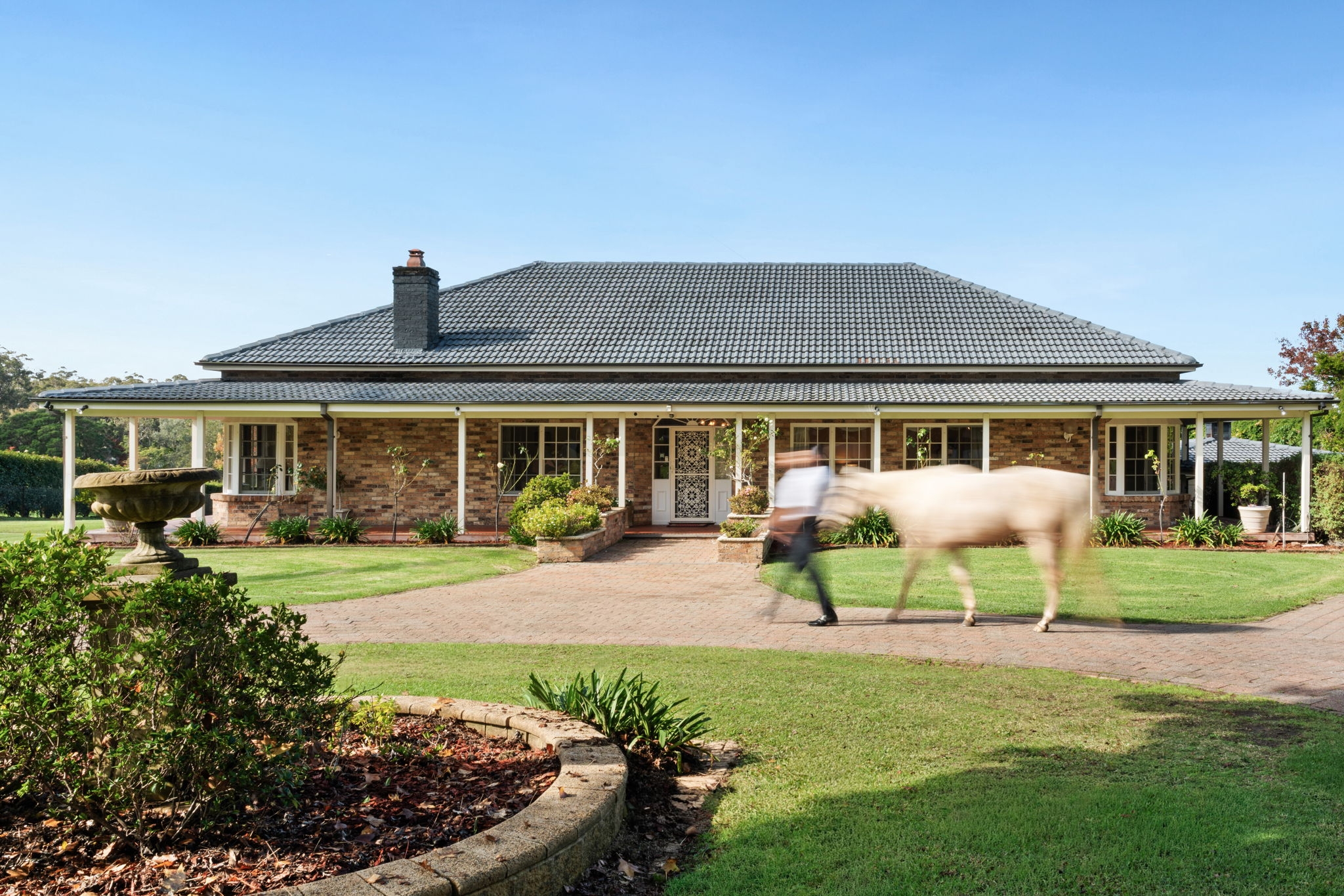 387 Bobbin Head Road, Turramurra For Sale by Chidiac Realty - image 5